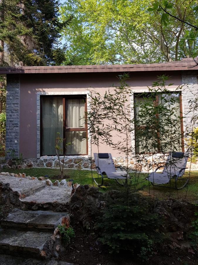 Guest Flirt Hotel Nisipurile de Aur